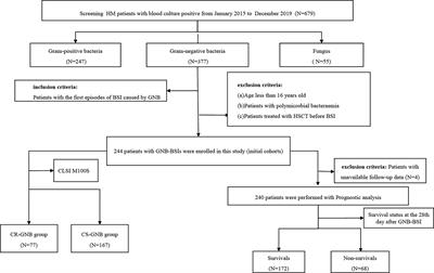 Development and validation of nomograms for predicting the risk probability of carbapenem resistance and 28-day all-cause mortality in gram-negative bacteremia among patients with hematological diseases